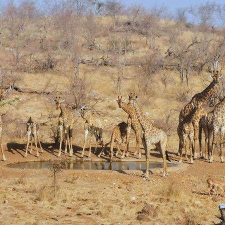 Mbizi Bush Lodge Grietjie Game Reserve Luaran gambar