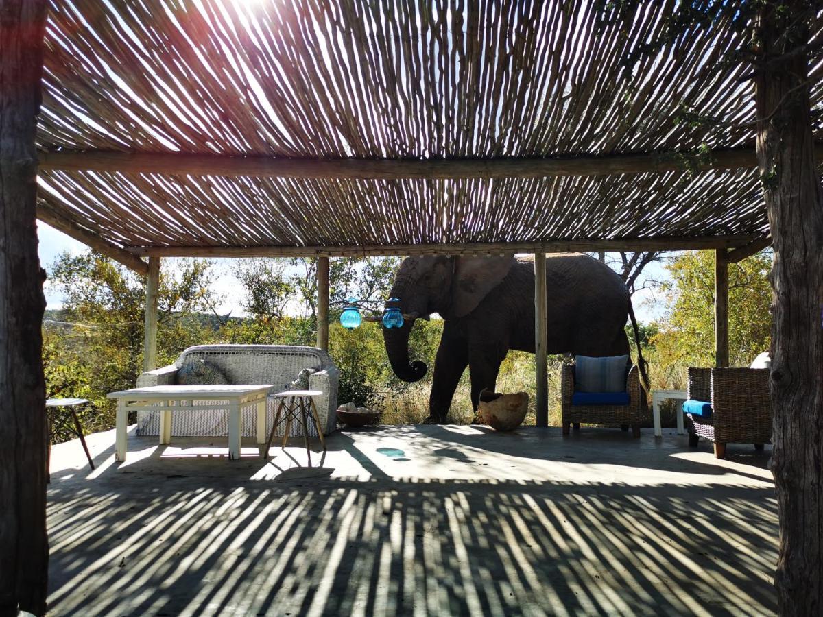 Mbizi Bush Lodge Grietjie Game Reserve Luaran gambar