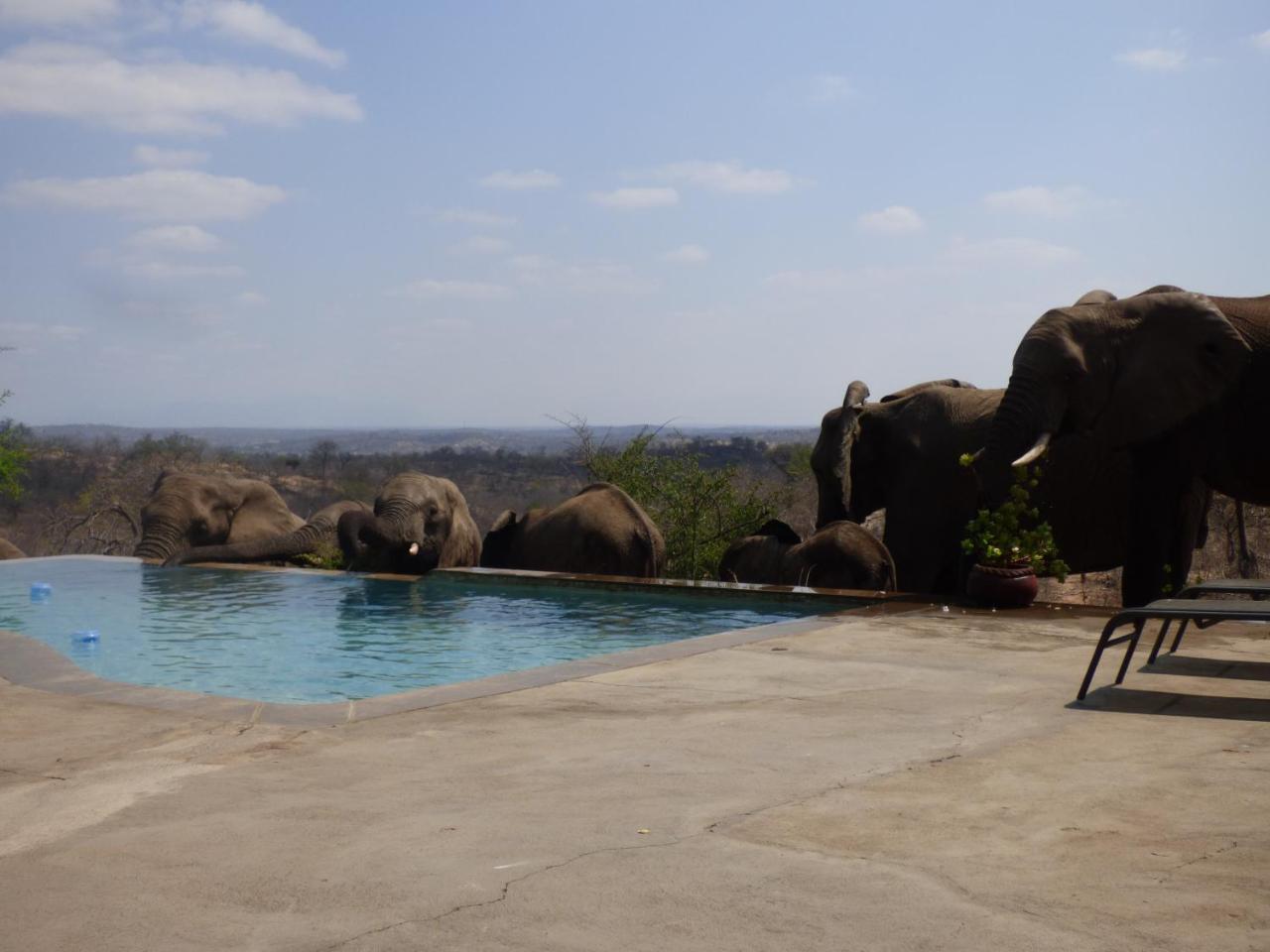 Mbizi Bush Lodge Grietjie Game Reserve Luaran gambar