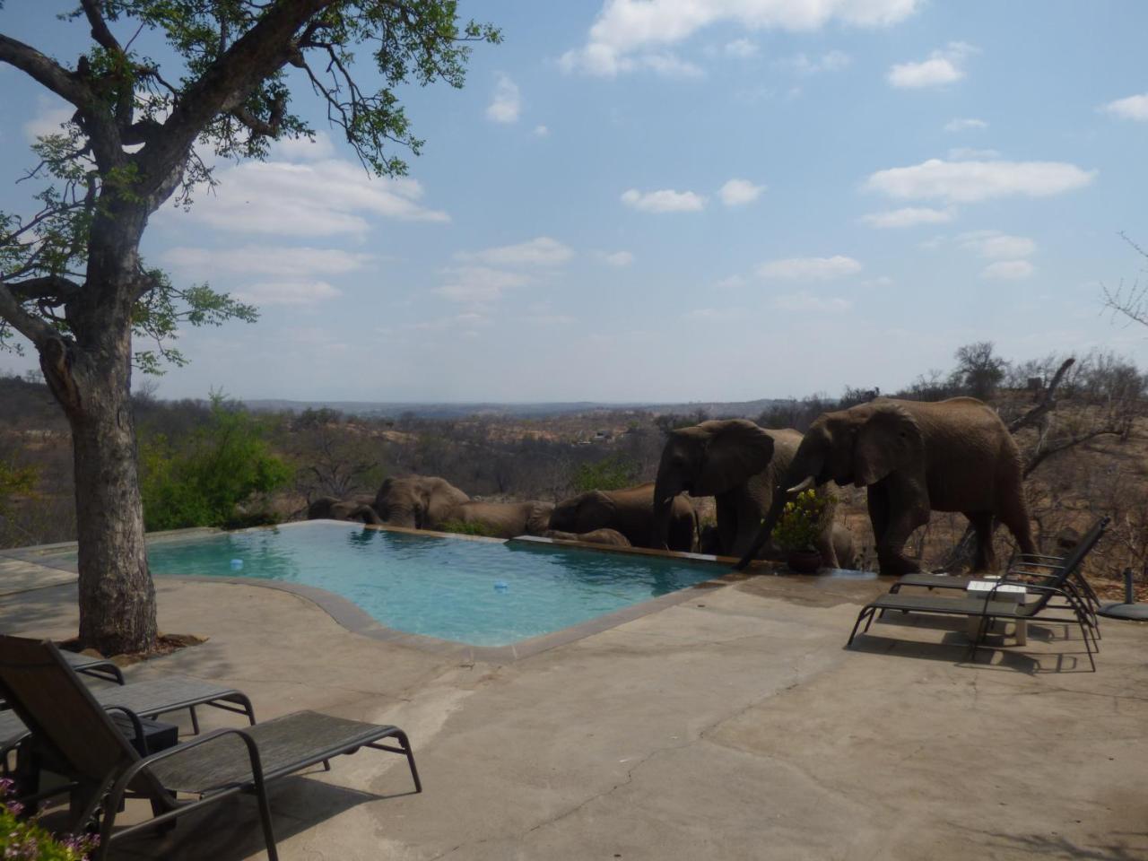 Mbizi Bush Lodge Grietjie Game Reserve Luaran gambar