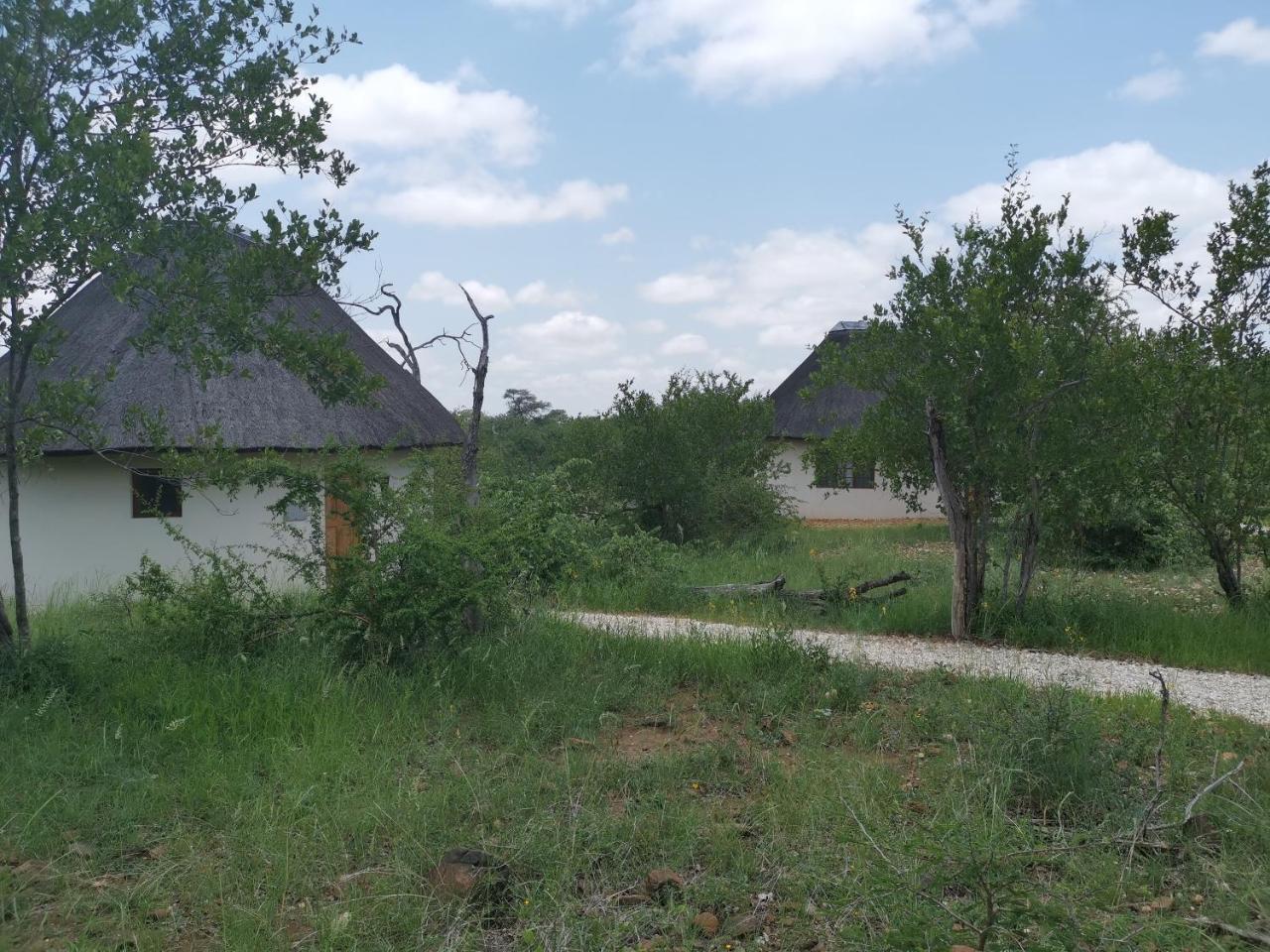 Mbizi Bush Lodge Grietjie Game Reserve Luaran gambar