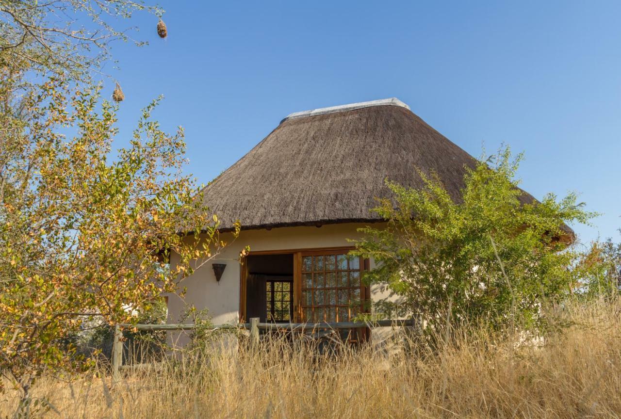 Mbizi Bush Lodge Grietjie Game Reserve Luaran gambar