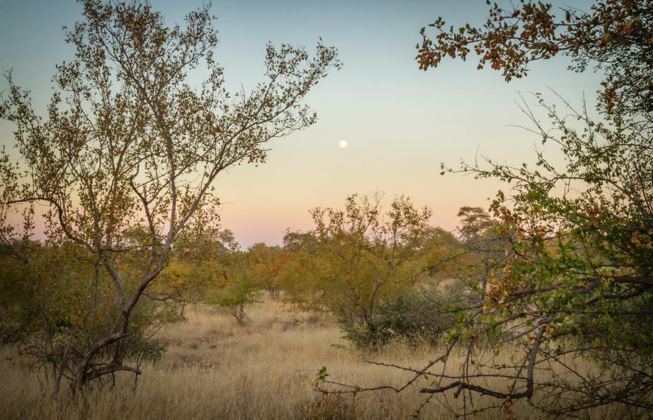 Mbizi Bush Lodge Grietjie Game Reserve Luaran gambar