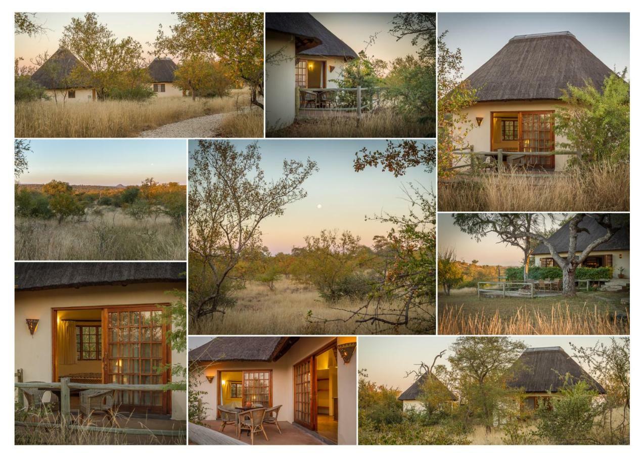 Mbizi Bush Lodge Grietjie Game Reserve Luaran gambar